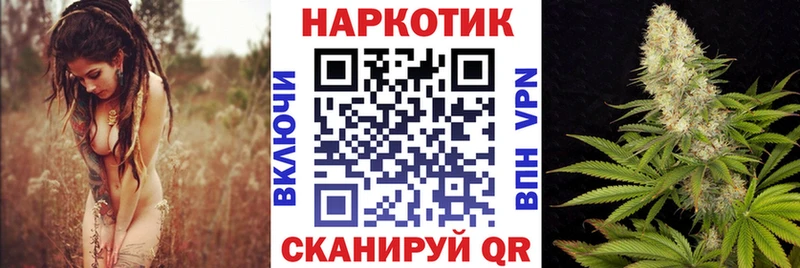 Где купить Олонец COCAIN  ОМГ ОМГ   СОЛЬ  Марихуана  МЕФ 
