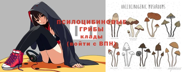 кокс Каменка