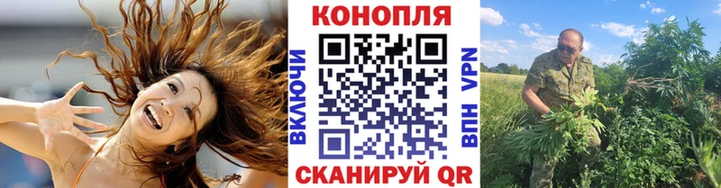 Шишки марихуана Bruce Banner  Олонец 